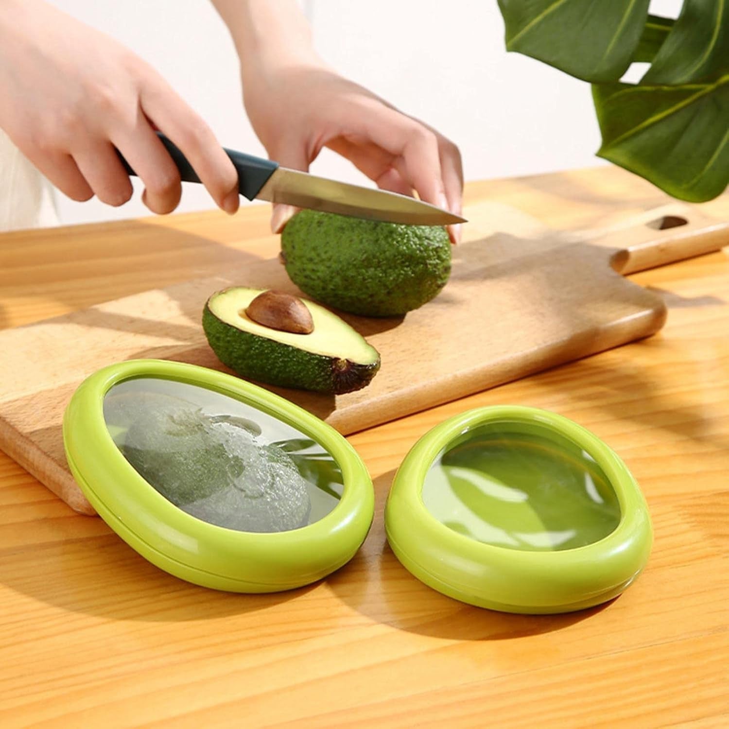 Vegetable Container Vegetable Container